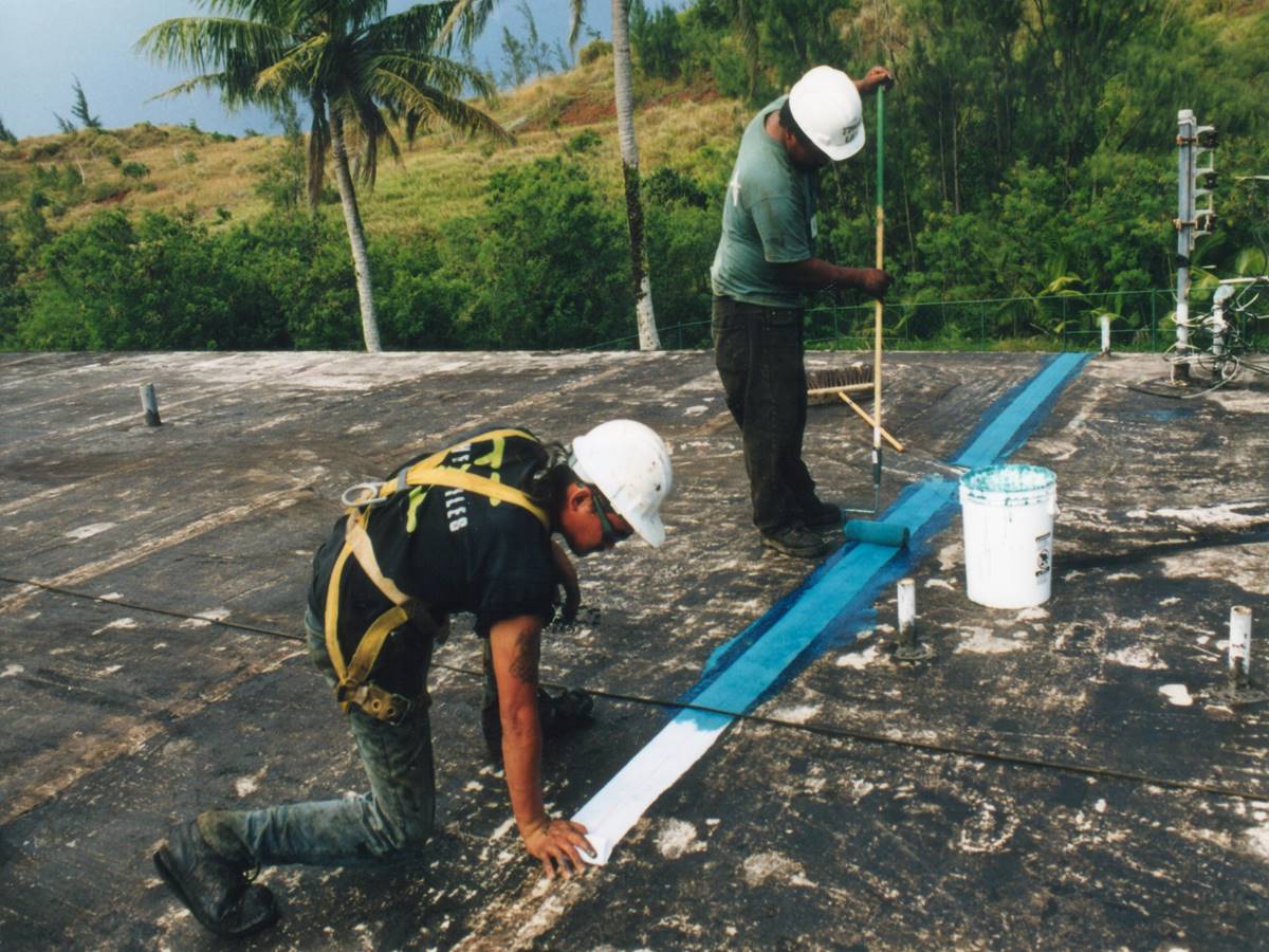 Кровельные праймеры (грунтовки)  Accella Roofing Systems