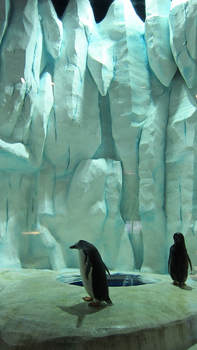 CANYON TONE STAIN - акриловый полимер на водной основе, смешенный с силиконовой смолой,  предназначен для создания покрытия  с водоотталкивающим, устойчивым цветом отделки. CANYON TONE STAIN образует тонкий гидрофобный слой покрытия.  Материал наносится на бетон, сборный железобетон, кирпич и штукатурку. Продукт доступен в широком диапазоне цветов.CANYON TONE STAIN основе растворителя - акриловый метилметакрилат, предназначен для придания обрабатываемой поверхности водоотталкивающих свойств и устойчивого цвета.